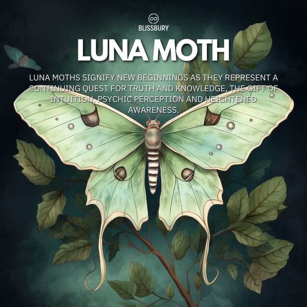 Silver Luna Moth Earrings - Alluring, Mystical, Ethereal - Blissbury